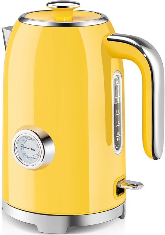 SUSTEAS Electric Kettle