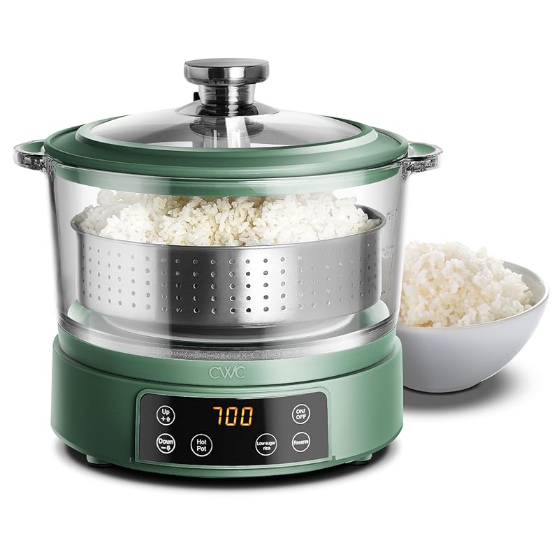 Compact 3L Mini Rice Cooker with Glass Lid and Steamer for Small Space