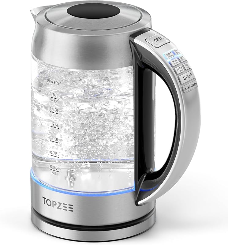 Budget Glass Electric Kettle with Preset Temperatures and Keep Warm Fu