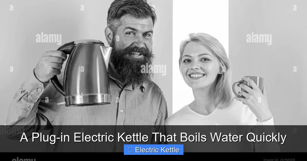 A Plug-in Electric Kettle That Boils Water Quickly