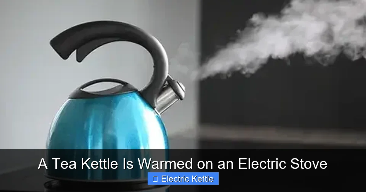 A Tea Kettle Is Warmed on an Electric Stove