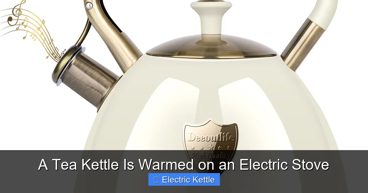 A Tea Kettle Is Warmed on an Electric Stove
