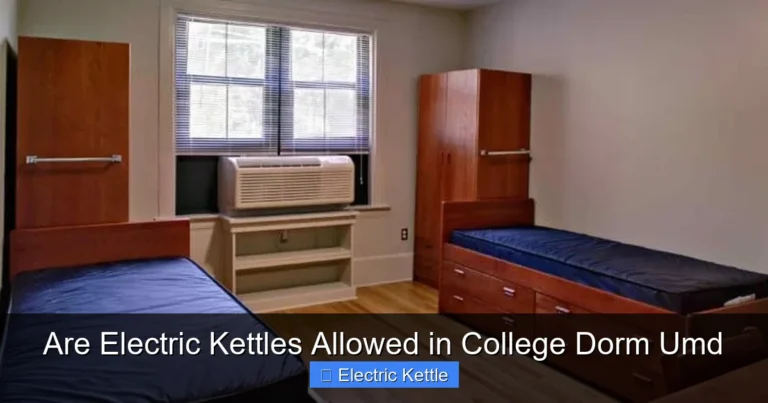 Are Electric Kettles Allowed in College Dorm Umd