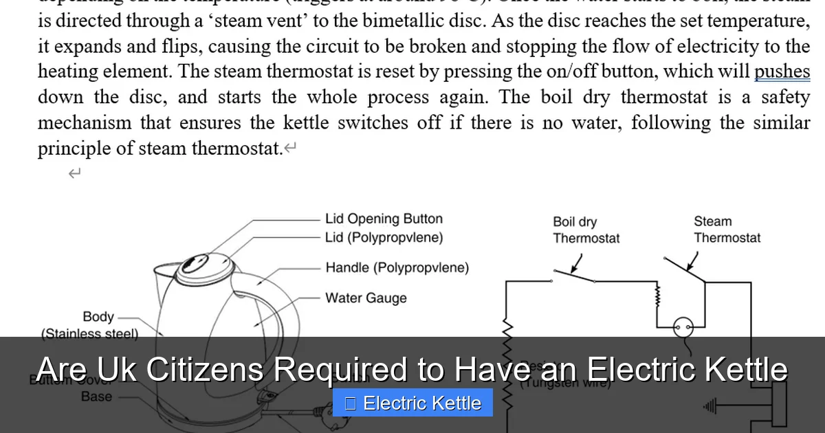 Are Uk Citizens Required to Have an Electric Kettle