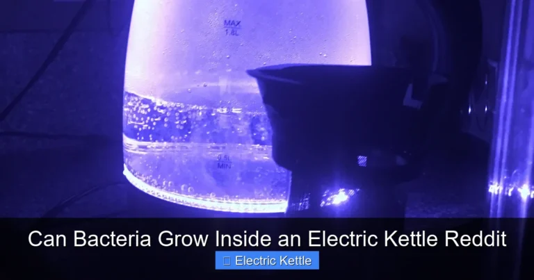 Can Bacteria Grow Inside an Electric Kettle Reddit