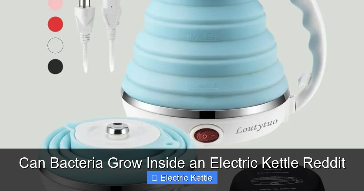 Can Bacteria Grow Inside an Electric Kettle Reddit