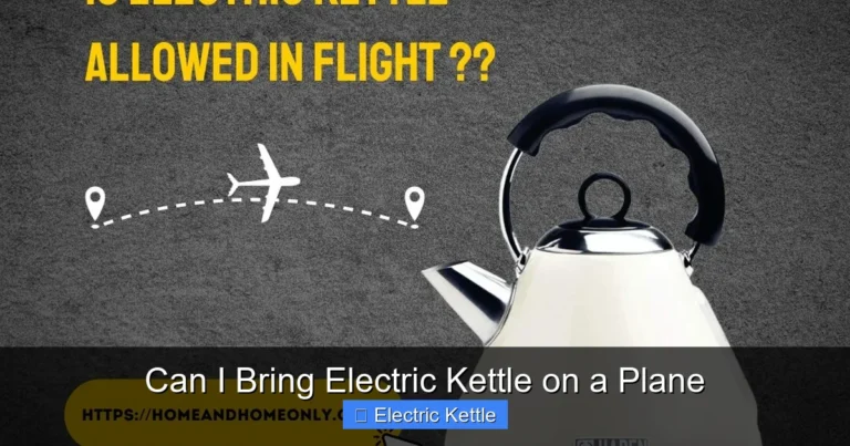 Can I Bring Electric Kettle on a Plane
