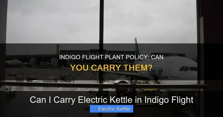 Can I Carry Electric Kettle in Indigo Flight