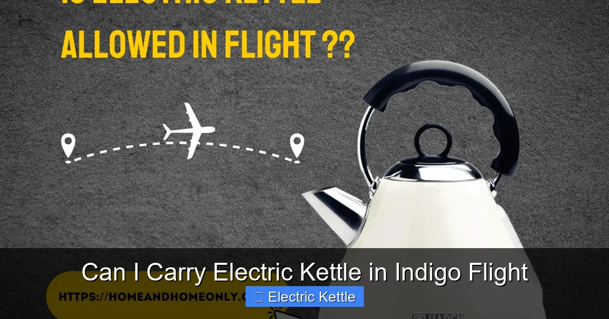 Can I Carry Electric Kettle in Indigo Flight