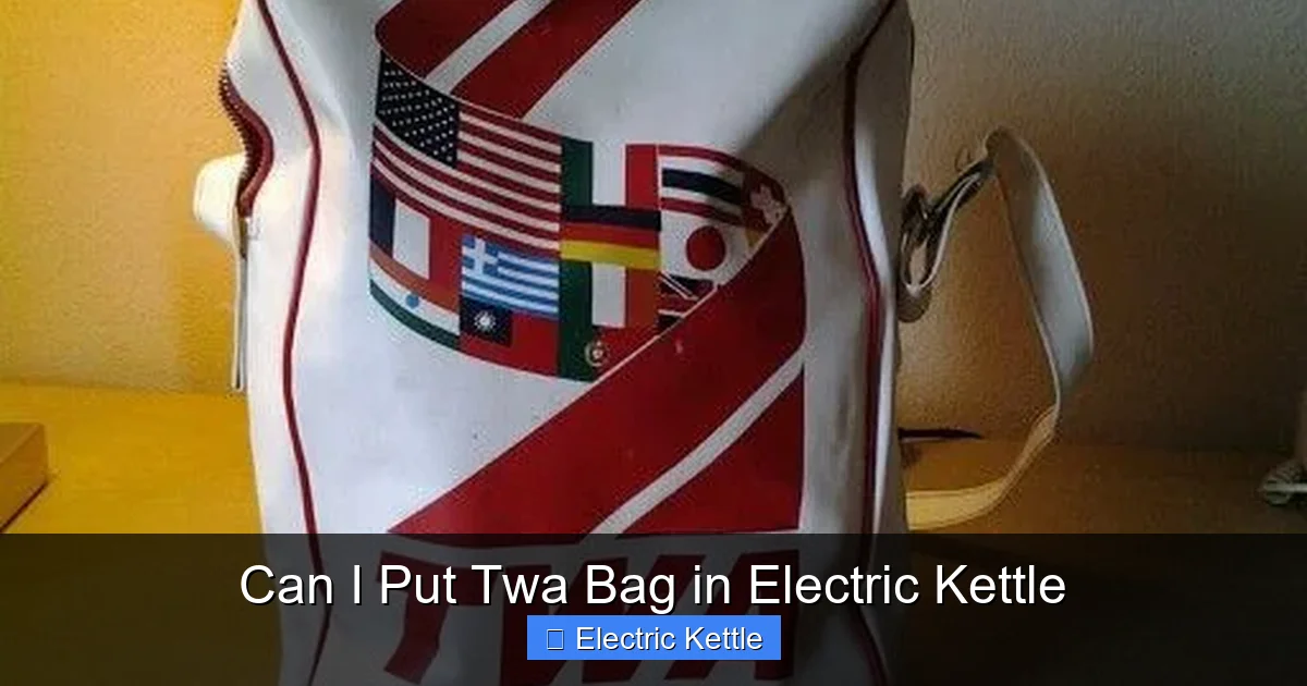 Can I Put Twa Bag in Electric Kettle