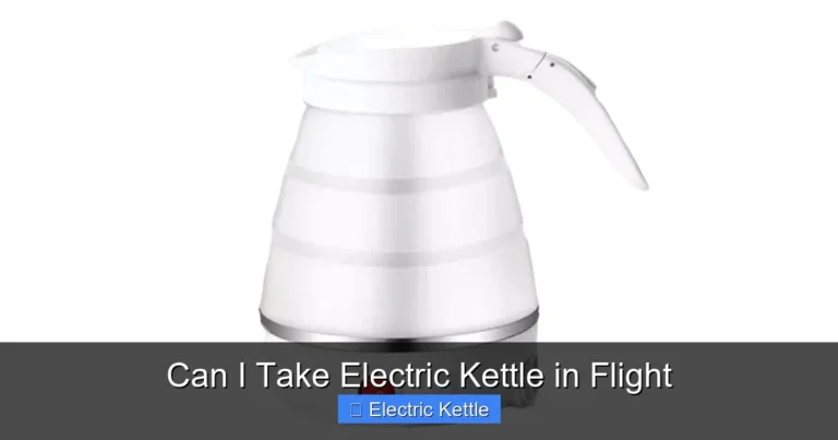 Can I Take Electric Kettle in Flight