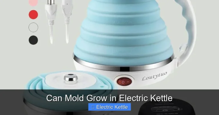 Can Mold Grow in Electric Kettle
