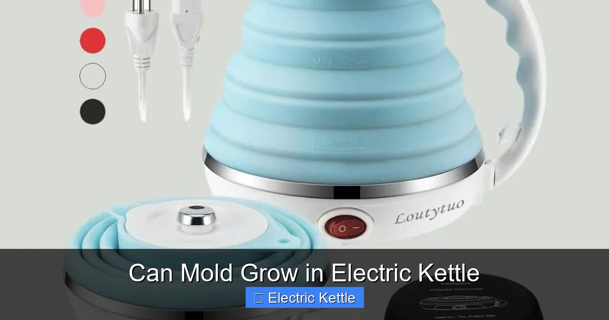 Can Mold Grow in Electric Kettle