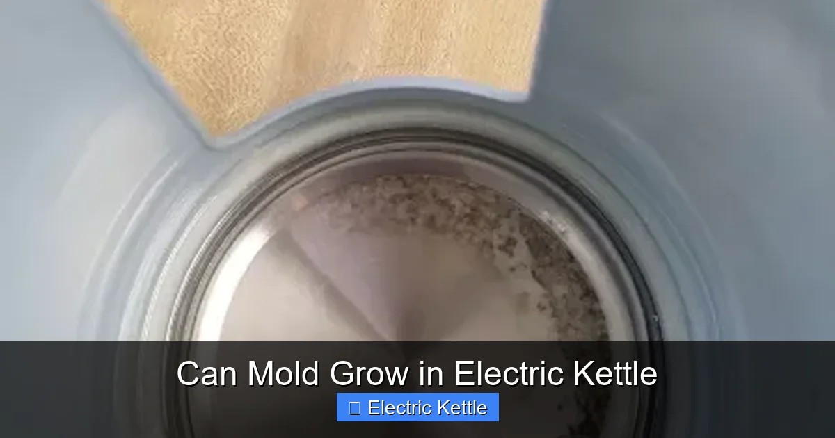 Can Mold Grow in Electric Kettle
