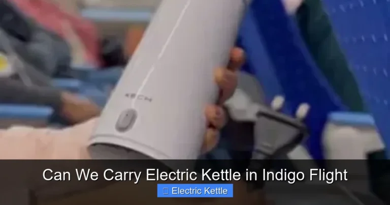 Can We Carry Electric Kettle in Indigo Flight