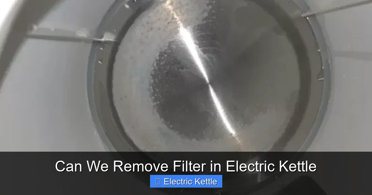 Can We Remove Filter in Electric Kettle
