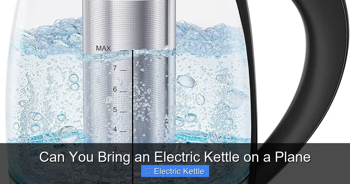 Can You Bring an Electric Kettle on a Plane