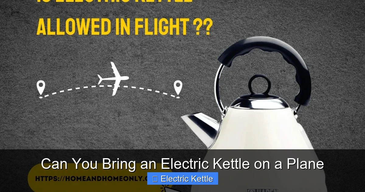 Can You Bring an Electric Kettle on a Plane
