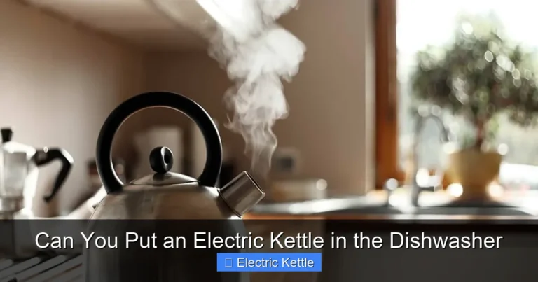 Can You Put an Electric Kettle in the Dishwasher