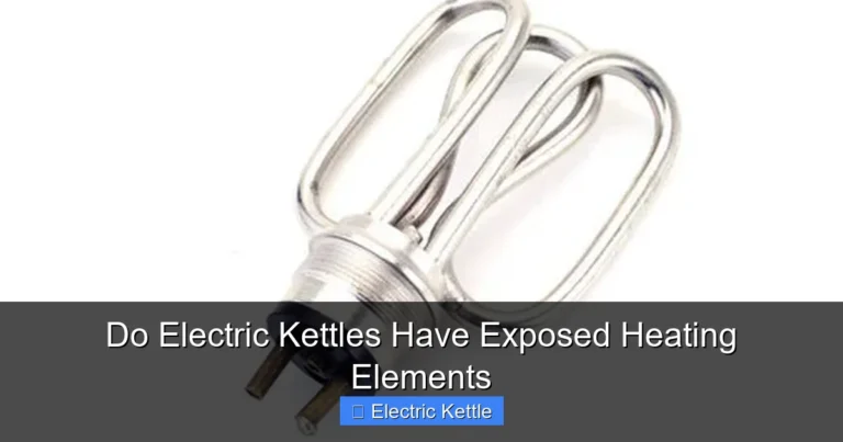 Do Electric Kettles Have Exposed Heating Elements