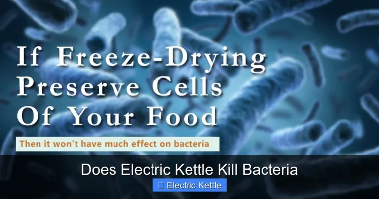 Does Electric Kettle Kill Bacteria