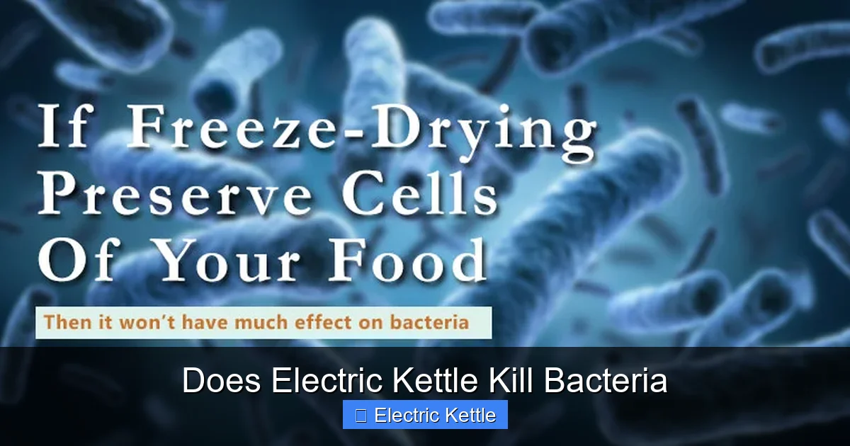 Does Electric Kettle Kill Bacteria