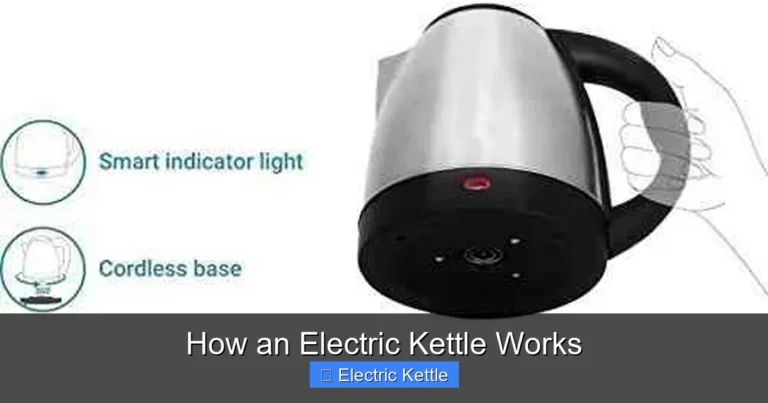 How an Electric Kettle Works