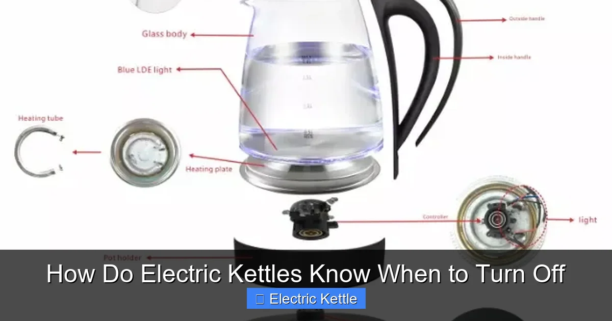 How Do Electric Kettles Know When to Turn Off