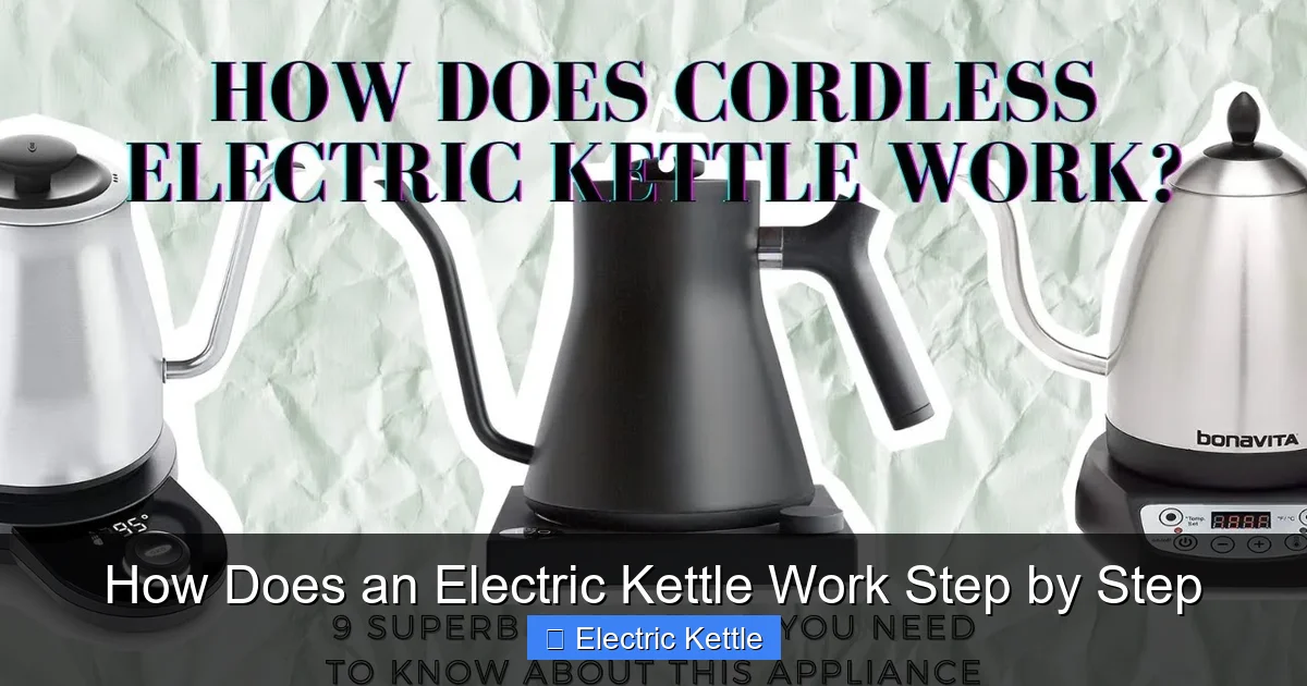 How Does an Electric Kettle Work Step by Step