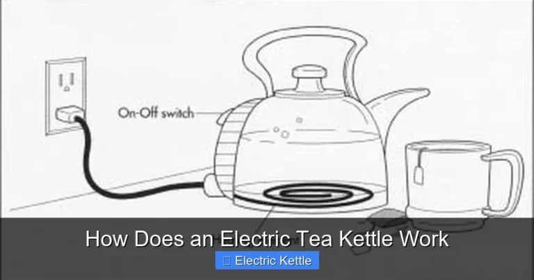 How Does an Electric Tea Kettle Work