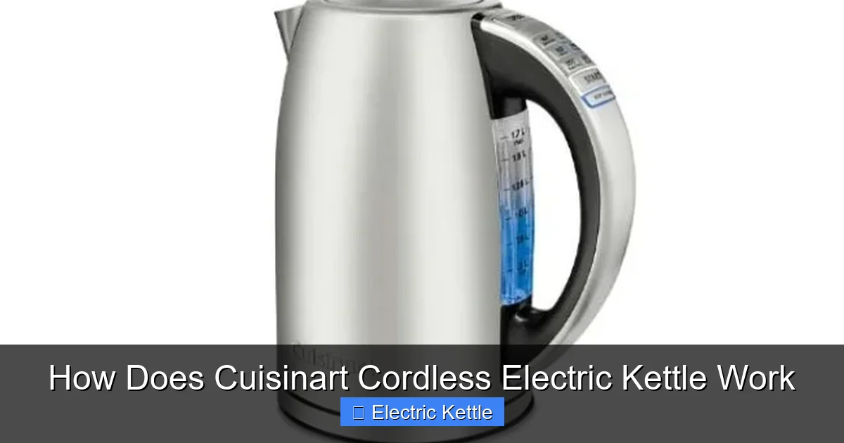 How Does Cuisinart Cordless Electric Kettle Work