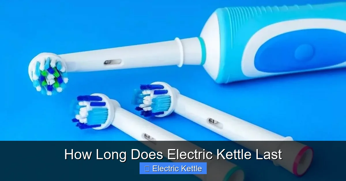 How Long Does Electric Kettle Last