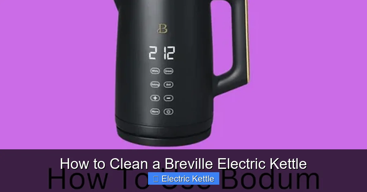 How to Clean a Breville Electric Kettle