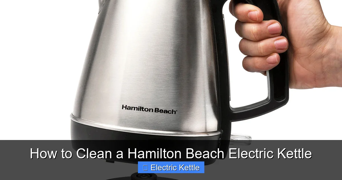 How to Clean a Hamilton Beach Electric Kettle