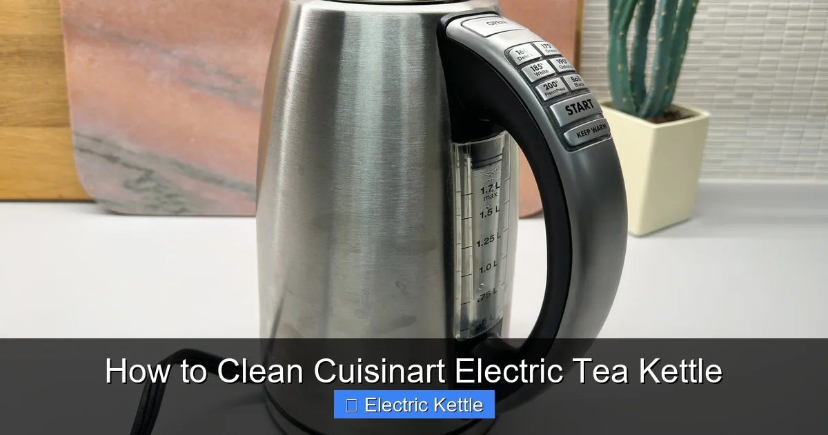 How to Clean Cuisinart Electric Tea Kettle