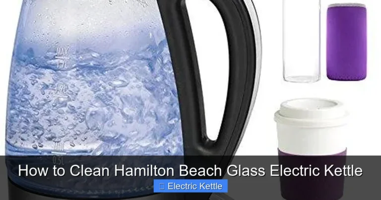 How to Clean Hamilton Beach Glass Electric Kettle