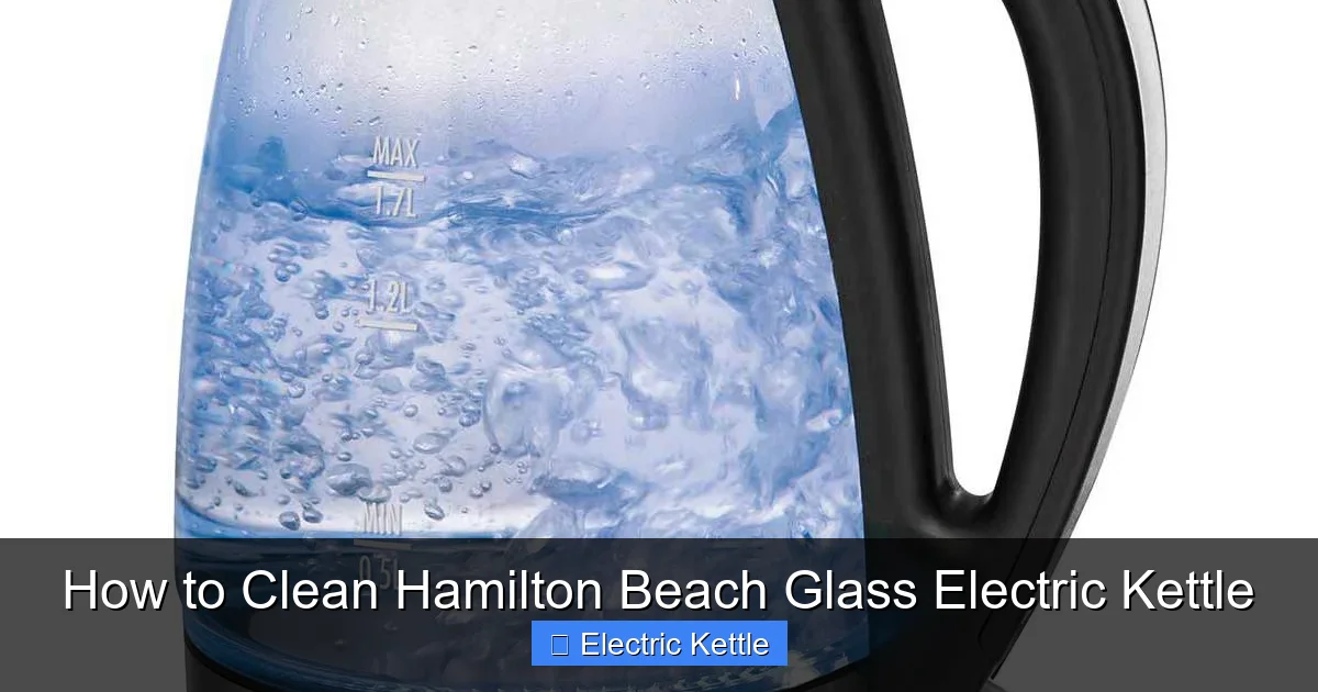 How to Clean Hamilton Beach Glass Electric Kettle