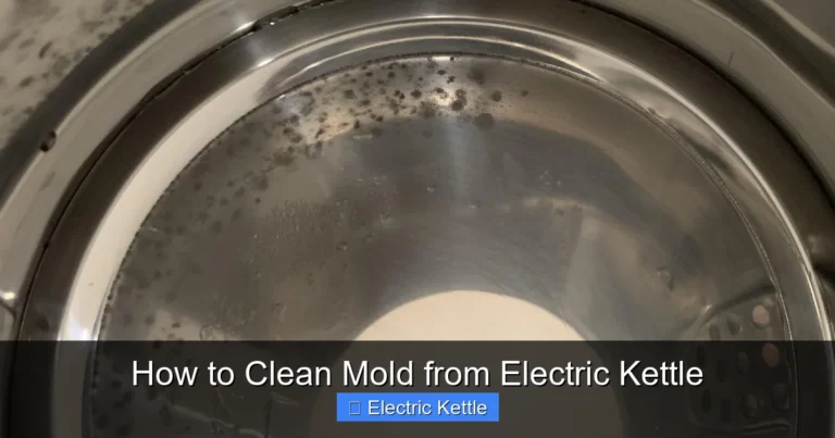 How to Clean Mold from Electric Kettle