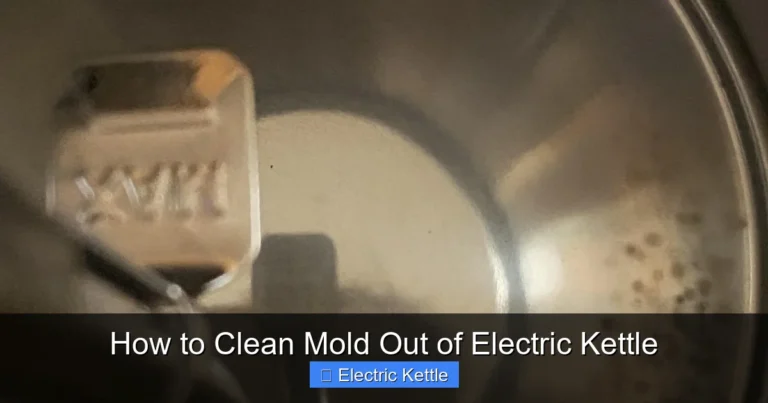 How to Clean Mold Out of Electric Kettle