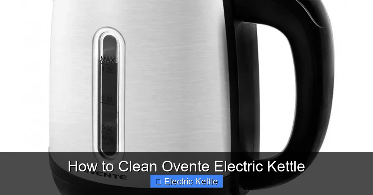 How to Clean Ovente Electric Kettle
