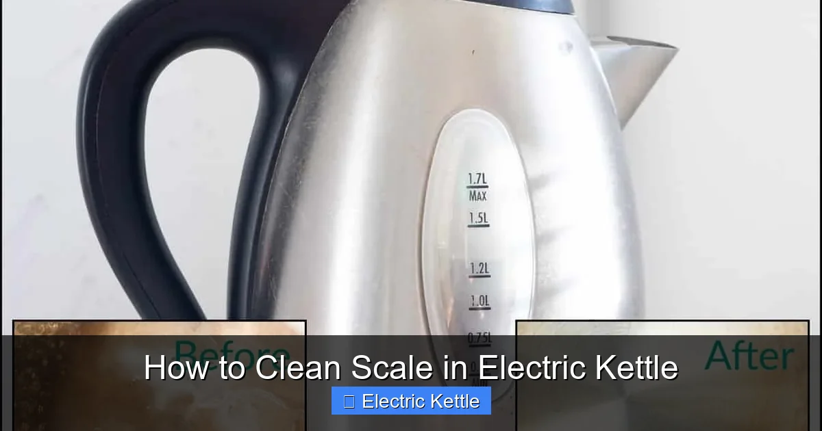 How to Clean Scale in Electric Kettle