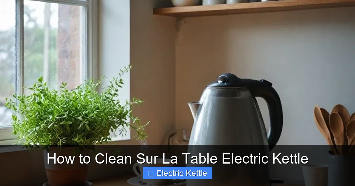 How to Clean Sur La Table Electric Kettle