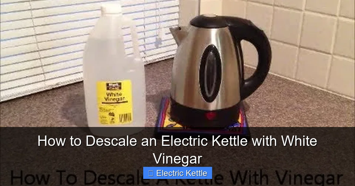 How to Descale an Electric Kettle with White Vinegar