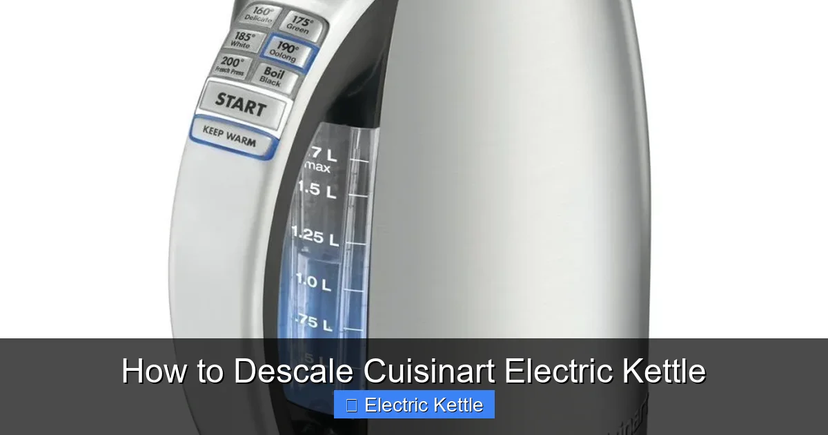 How to Descale Cuisinart Electric Kettle