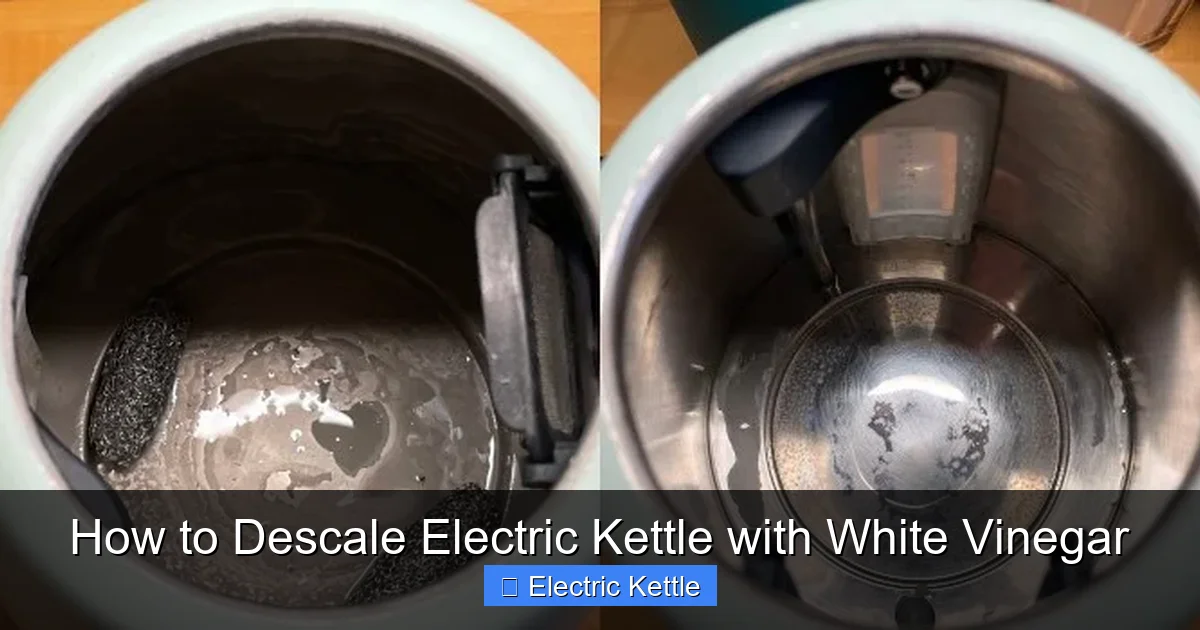 How to Descale Electric Kettle with White Vinegar