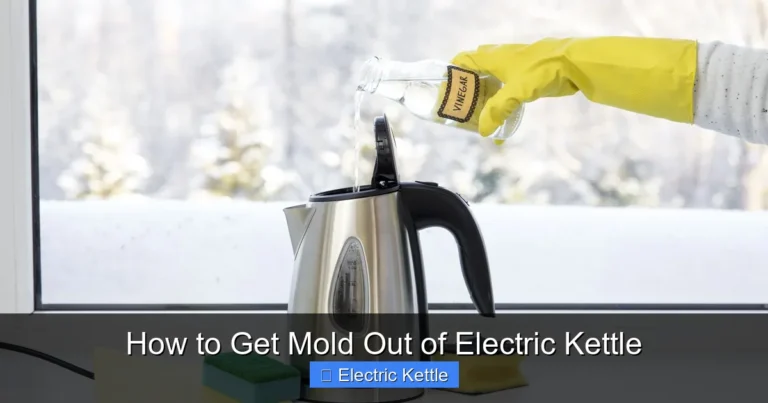 How to Get Mold Out of Electric Kettle