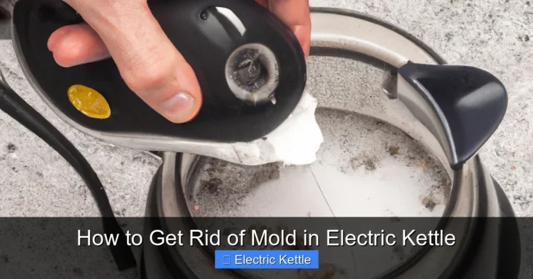 How to Get Rid of Mold in Electric Kettle