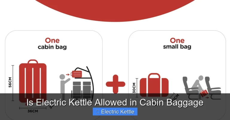 Is Electric Kettle Allowed in Cabin Baggage