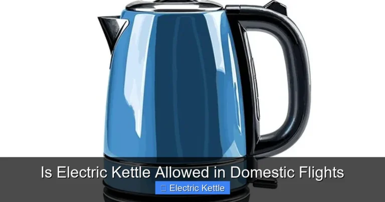 Is Electric Kettle Allowed in Domestic Flights