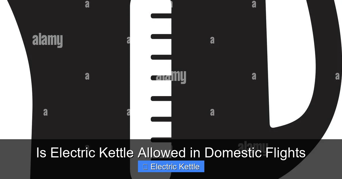 Is Electric Kettle Allowed in Domestic Flights